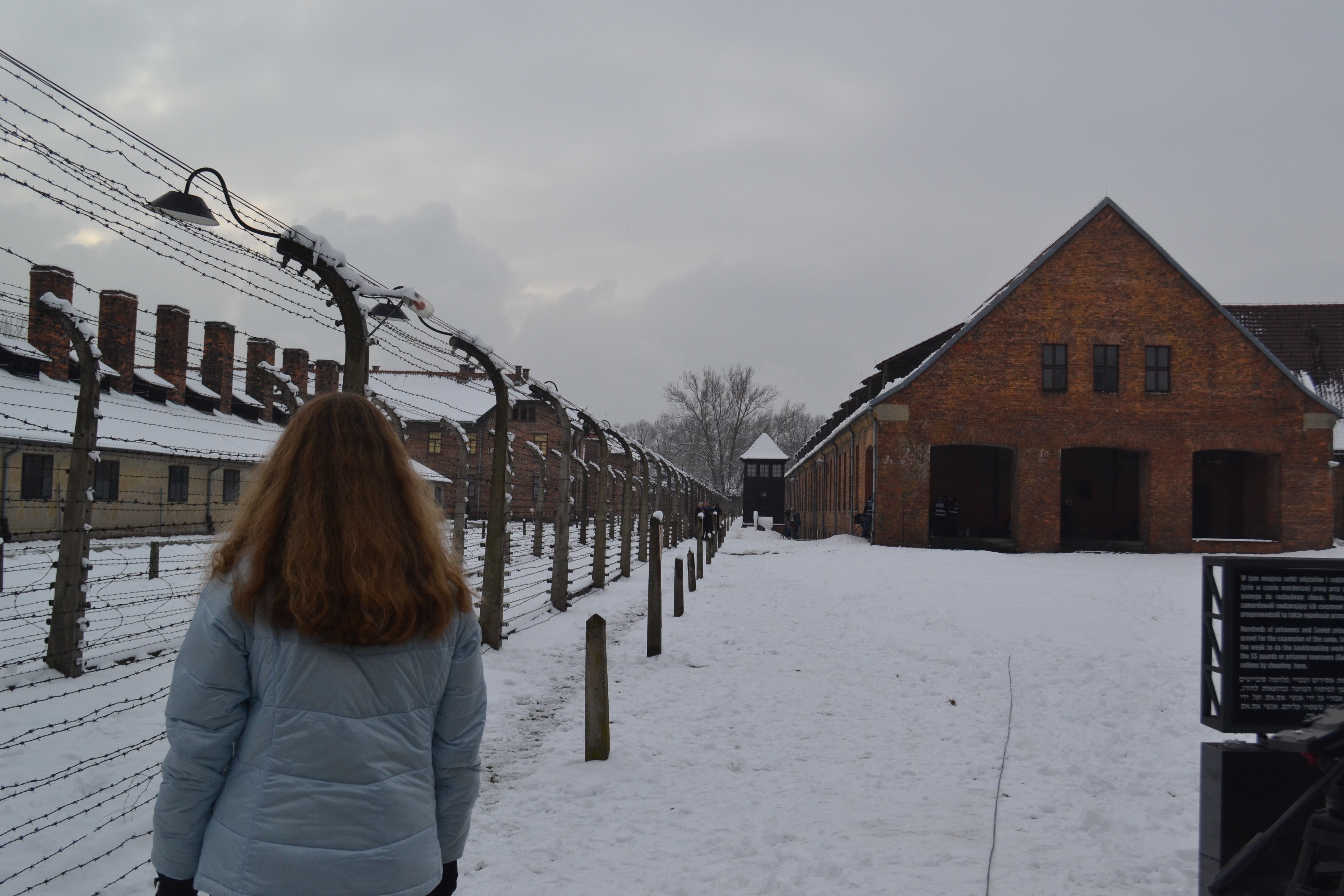 Me at the fence in Auschwitz.