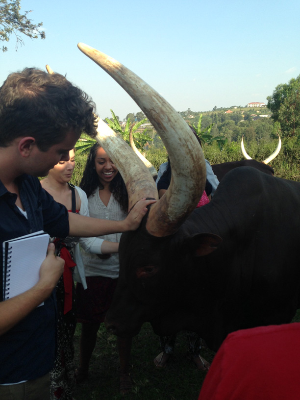 The class learns about the importance of cows in Rwandan culture at the King's Palace museum