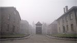 Auschwitz Screen Still